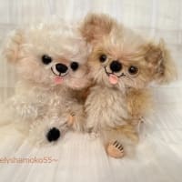 ピッピちゃん＆とっとちゃん…ｵﾐｵｸﾘｼﾞｭﾝﾋﾞﾁｭｳ~