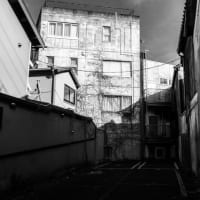 monochrome
