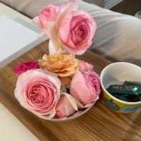 5月のごはん　あすけんやってみた！