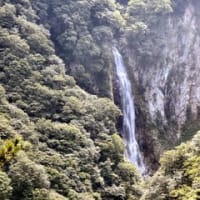 志賀高原
