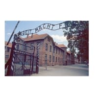 ■アウシュヴィッツ＝ビルケナウ強制収容所（博物館）レポート