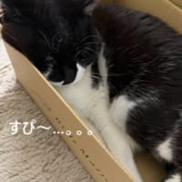 あつあつ　べりー。
