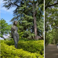梅雨の合間に植物園で深呼吸。