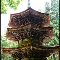 「安楽寺」の 国宝八角三重塔