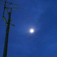 三日月に火星が大接近♪（6月1日）