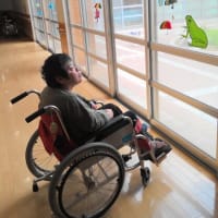 てるてる坊主で天気も心も晴れやかな日☀️