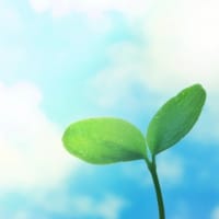 暴力に警察沙汰、未成年の娘に親は恐怖と焦り 、そして決断へ- JECセンター