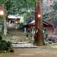 1月3日を迎えました
