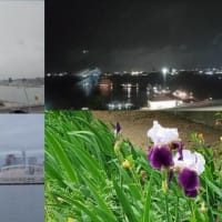 2025年5月10日　昨日の風景　神戸港／雨の昼，夜，日の出せず，ドイツアヤメ