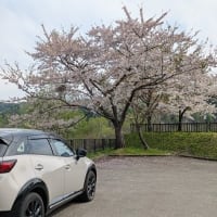 みちのく一人旅　秋田県３