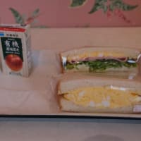 2/23-24　中京３県鉄道めぐり　その７「三岐鉄道北勢線に乗る」