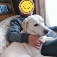 お久しぶりです
