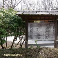 江戸時代末期の医院の住宅「旧荻野家住宅」