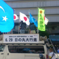 日の丸大行進in沖縄