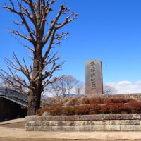 松代温泉