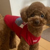 汗だくで仕事！