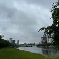 広島市は雨！梅雨の最後、もうすぐ夏到来です！