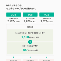 ドコモの料金プラン　5Gギガライト→イルモ3Gに変更した　2024.5.31