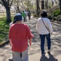 城山公園に　行って　お散歩に　行きました(マハロ班)