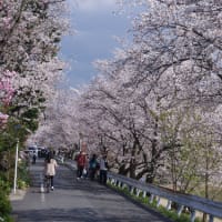 2025（令和7）年04月10日（木）曇り、のち小雨。#能因法師