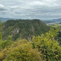 新高山城に登ってきました