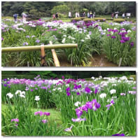 慌ただしくお出かけを！