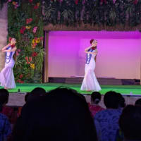 東北のハワイに来る