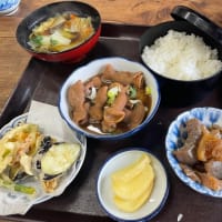 下仁田名物「本宿どうなつ」「茂木ドライブインのこんにゃく」