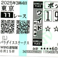 2025年　パラダイスS、宝塚記念　反省