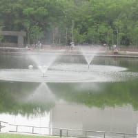 雨あがりで久しぶりに散歩