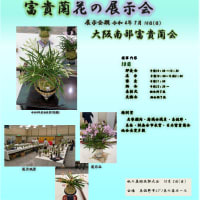 大阪南部富貴蘭会 花の展示会