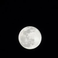 ２０２２年最初の満月/Wolf Moon