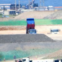 大浦湾から作業船が次々と出ていった。ぬーやるばーが？