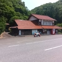 走ってきましたよ