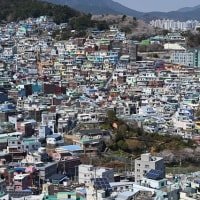 釜山の3本線に大感激