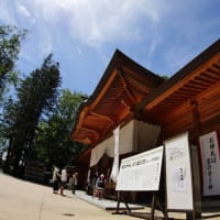 令和元年上期のスナップ