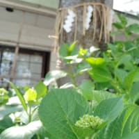 【月中の参拝】廣田神社　青森県青森市