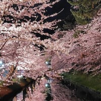 5月1日忍たま乱太郎出演します