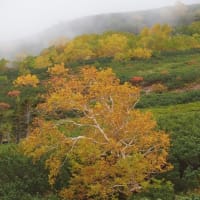 2024/10/03（木）：紅葉が進んできました。