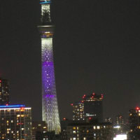 日向坂46の虹開催記念特別ライティング22