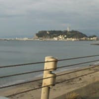 静かな波。今日の海。