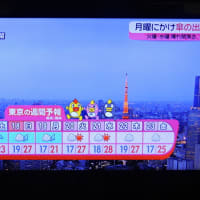 5/17 　天気　朝５時前　もう降っていた