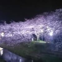 2024/04/07