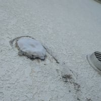 許せない壁の穴