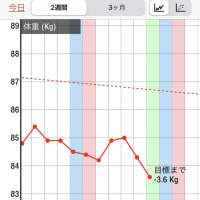 ダイエット何日目か？