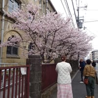 「2025年も管大臣社...」