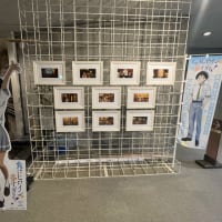 負けヒロインが多すぎる！負けヒロインのボイスが多すぎる！