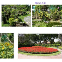 旅先に見る世界の植物園＿７（ベトナム）　－ 2018.1 －