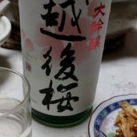 越後桜