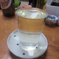 17回目の甲府ひとり旅～その2　二次会は～毎度の「くさ笛」